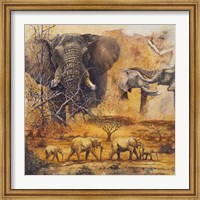 Safari II Fine Art Print