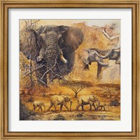 Safari II Fine Art Print