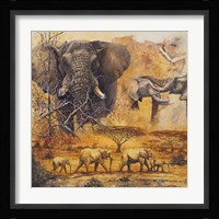 Safari II Fine Art Print