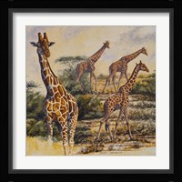 Safari III Fine Art Print