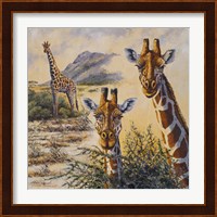 Safari IV Fine Art Print