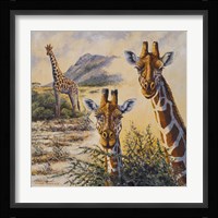 Safari IV Fine Art Print