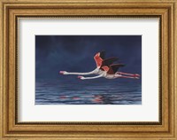 Flying Flamingos Fine Art Print