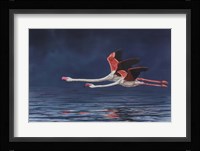 Flying Flamingos Fine Art Print