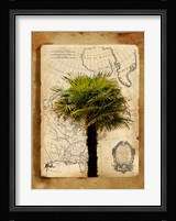 America I Framed Print