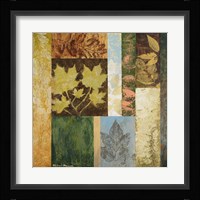 August Leaves II Fine Art Print