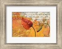 Poppies Composition II Fine Art Print