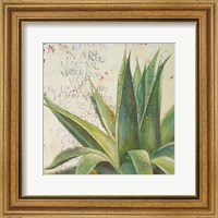 Aloe I Fine Art Print