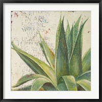 Aloe I Fine Art Print