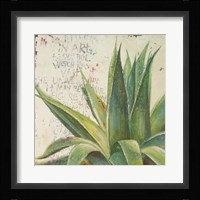 Aloe I Fine Art Print