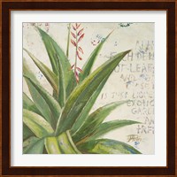 Aloe II Fine Art Print