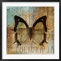 Polyurabutterfly I Fine Art Print