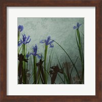 Blue Irises II Fine Art Print
