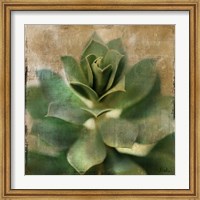 Succulent I Fine Art Print