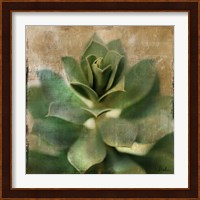 Succulent I Fine Art Print