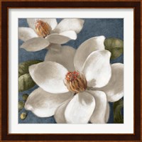 Magnolias on Blue I Fine Art Print