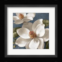 Magnolias on Blue I Fine Art Print