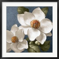 Magnolias on Blue II Fine Art Print