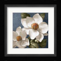 Magnolias on Blue II Fine Art Print