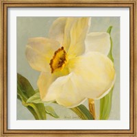 Daffodil Sky II Fine Art Print