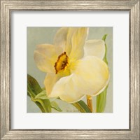 Daffodil Sky II Fine Art Print