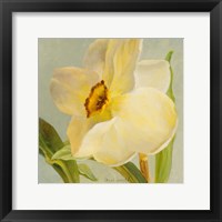 Daffodil Sky II Fine Art Print