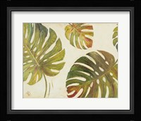 Organic II Framed Print