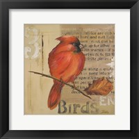 Red Love Birds II Fine Art Print