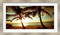 Bimini Sunset II Fine Art Print