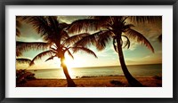 Bimini Sunset II Fine Art Print