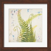 Nice Ferns I Fine Art Print