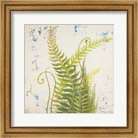 Nice Ferns I Fine Art Print