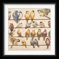 Gleeful Gathering I Framed Print
