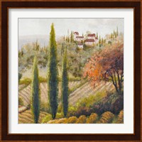 Tuscany Vineyard II Fine Art Print