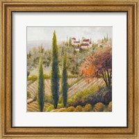 Tuscany Vineyard II Fine Art Print