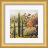 Tuscany Vineyard II Fine Art Print