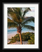 Sunset Palms I Fine Art Print