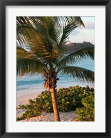 Sunset Palms I Fine Art Print