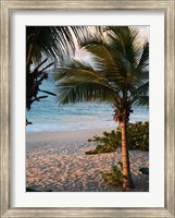 Sunset Palms II Fine Art Print