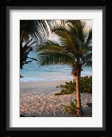 Sunset Palms II Fine Art Print
