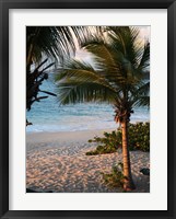 Sunset Palms II Fine Art Print