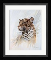 Distant Call Fine Art Print