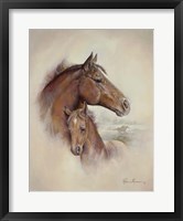 Race Horse II Framed Print