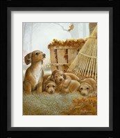 Autumn Playtime Fine Art Print