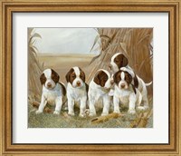 Belle's Pups Fine Art Print