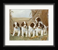 Belle's Pups Fine Art Print