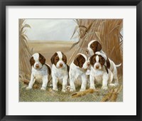 Belle's Pups Fine Art Print