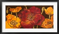 Dazzling Poppies I (black background) Fine Art Print