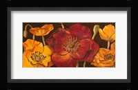 Dazzling Poppies I (black background) Fine Art Print