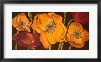 Dazzling Poppies II (black background) Fine Art Print
